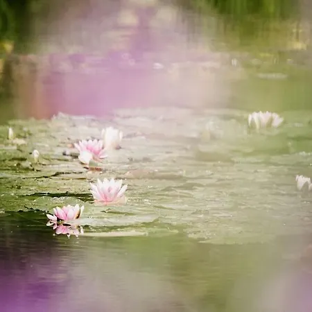 App 3 - T2 Calme Et Lumineux Hyper-centre 5min De La Gare * Evreux