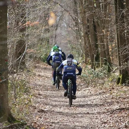 App 3 - T2 Calme Et Lumineux Hyper-centre 5min De La Gare Apartment