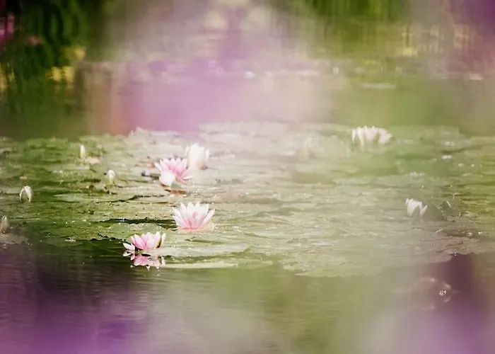 App 3 - T2 Calme Et Lumineux Hyper-centre 5min De La Gare * Evreux